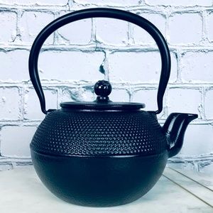 Teapot Japanese Tetsubin Black Cast Iron Pot